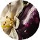 Image jod