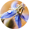 Image jod